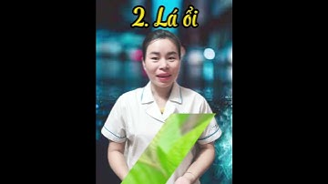 Ghẻ ngứa tắm lá gì cho nhanh khỏi, bí mật trong video này