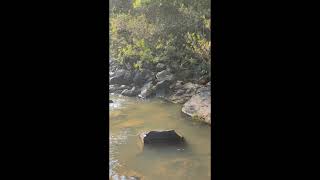 Lam Chae Dam Trekking.