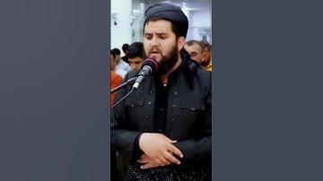تلاوه خاشعه بصوت القارئ دلشاد الكردي 🌿🌿