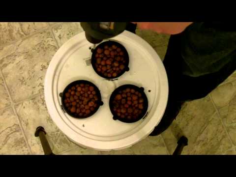 VERY EASY AND SIMPLE HOMEMADE HYDROPONIC BUBBLEPONIC SY... | Doovi VERY EASY AND SIMPLE HOMEMADE HYDROPONIC BUBBLEPONIC SY... | Doovi