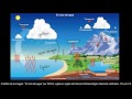 El ciclo del agua | Ecología | Biología | Khan Academy en Español