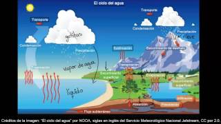 El ciclo del agua | Ecología | Biología | Khan Academy en Español