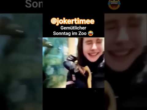 میمون حشری خنده فان طنز کلیپ طنز Funny Comedy Family خندارترین بمب خنده 