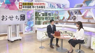 【記者メモ】早くも始まった百貨店“おせち商戦”生き残りをかけた新たな戦略とは