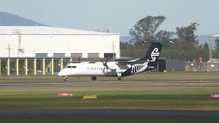 Air New Zealand Dash-8 Q300 landing at Christchurch
