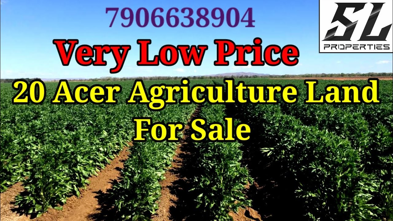 475 । Low Price 20 Acer Agriculture Land For Sale In Uttar Pradesh।