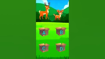 Focus test for genius /#shorts #cartoon #focus #focustes #dear #shorts #animation #riddles #ai