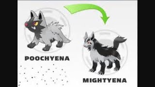 Does poochyena evolve