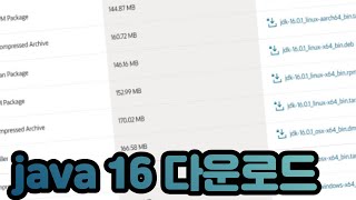 Unsupported Java detected (52.0). This version of Minecraft requires at least Java 16. 해결법