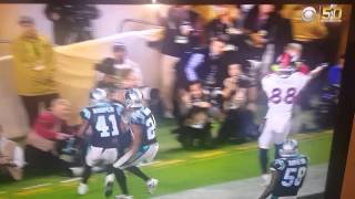 Cam Newton Super Bowl tantrum