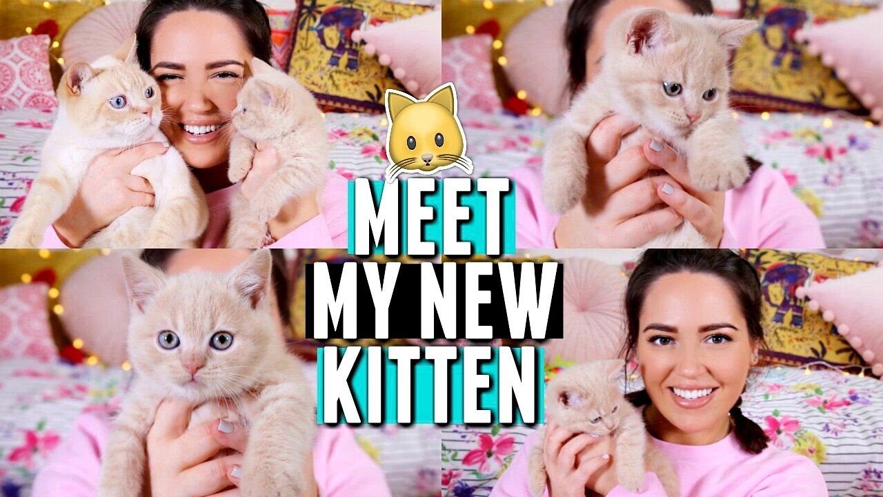 MEET MY KITTEN! 🐱 Name Reveal + Vlog From The Day!