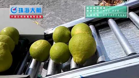 pomelo weight sorter/fruit sorting machine from DaHang Automation