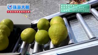 Celebrity pomelo weight sorter/fruit sorting machine from DaHang Automation Wealth