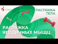 Растяжка тела – Упражнение «Растяжка ягодичных мышц»