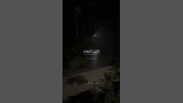 سورة مريم الآية 76 | وَیَزِیدُ ٱللَّهُ ٱلَّذِینَ ٱهۡتَدَوۡا۟ هُدࣰىۗ | القارئ فايز الحميري #اكسبلور