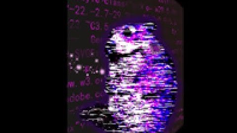 Find the Chomiks: Software Chomik Guide