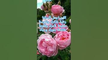 #أدعية #أذكار #أحاديث #آيات #سنة الله ورسوله صلى الله عليه وسلم