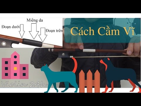 Video Lesson 5: Cách cầm vĩ khi chơi đàn violin - YouTube