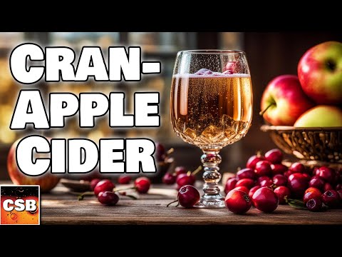 Sparkling Cranberry Apple Cider ANYONE Can Make At Home
