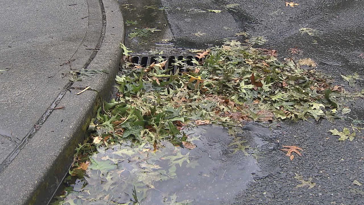 Urban Green - Adopt A Storm Drain - October, 2022 - YouTube