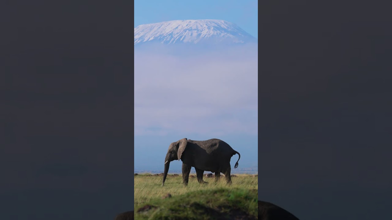 Explore Amboseli National Park