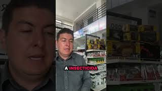 La Es Una Muy En Los De