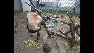 20190307　昼3
