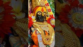 3 March 2022#Tuljabhavani darshan/Tuljabhavani daily photos/like, Share, Subscribe screenshot 1