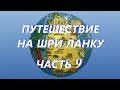 Путешествие на Шри-Ланку. Часть 9. Пляжи Хиккадувы. Обитатели Индийского океана