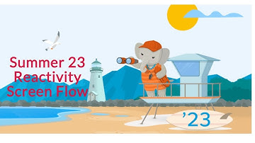 Salesforce - Summer 23 -  Reactivity Screen Flows