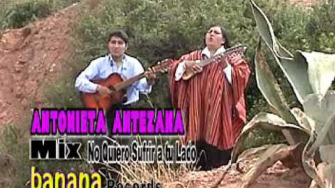 Antonieta Antezana - MIX malvas t'ikita