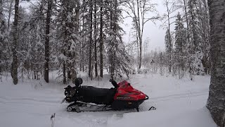 Охота на куницу капканами 2021,январь  Проверка на снегоходе тайга варяг 550v снегоход тайга