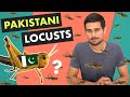 Locust Attack in India | Explained by Dhruv Rathee