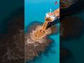 Why Humans Are Secretly Destroying the Oceans with Rocks and Soil! #shorts #ehsanifacts #trendin