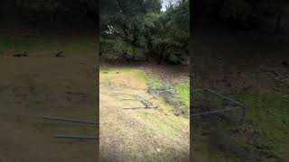 Weed Whacking Cleanup #FS70r #weedwacker #landscaping #landscape  #construction #outdoorupgrade