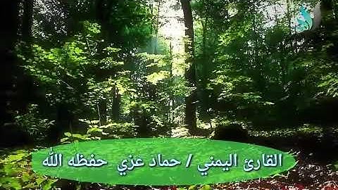 ما تيسر من سورة النور | القارئ حماد عزي | إمام مسجد البينة بمدينة الحديدة اليمنية