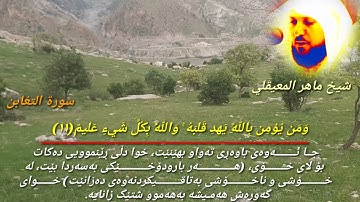 شيخ ماهر المعيقلي مَا أَصَابَ مِن مُّصِيبَةٍ إِلَّا بِإِذْنِ اللَّهِ ۗ....سورة التغابن