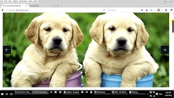 Microsoft Dynamics RMS POS and eCommerce Integration