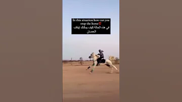 في هذه الحالة كيف يمكنني إيقاف الحصان خيل Awadmesmeh Horse الخيل حصان 