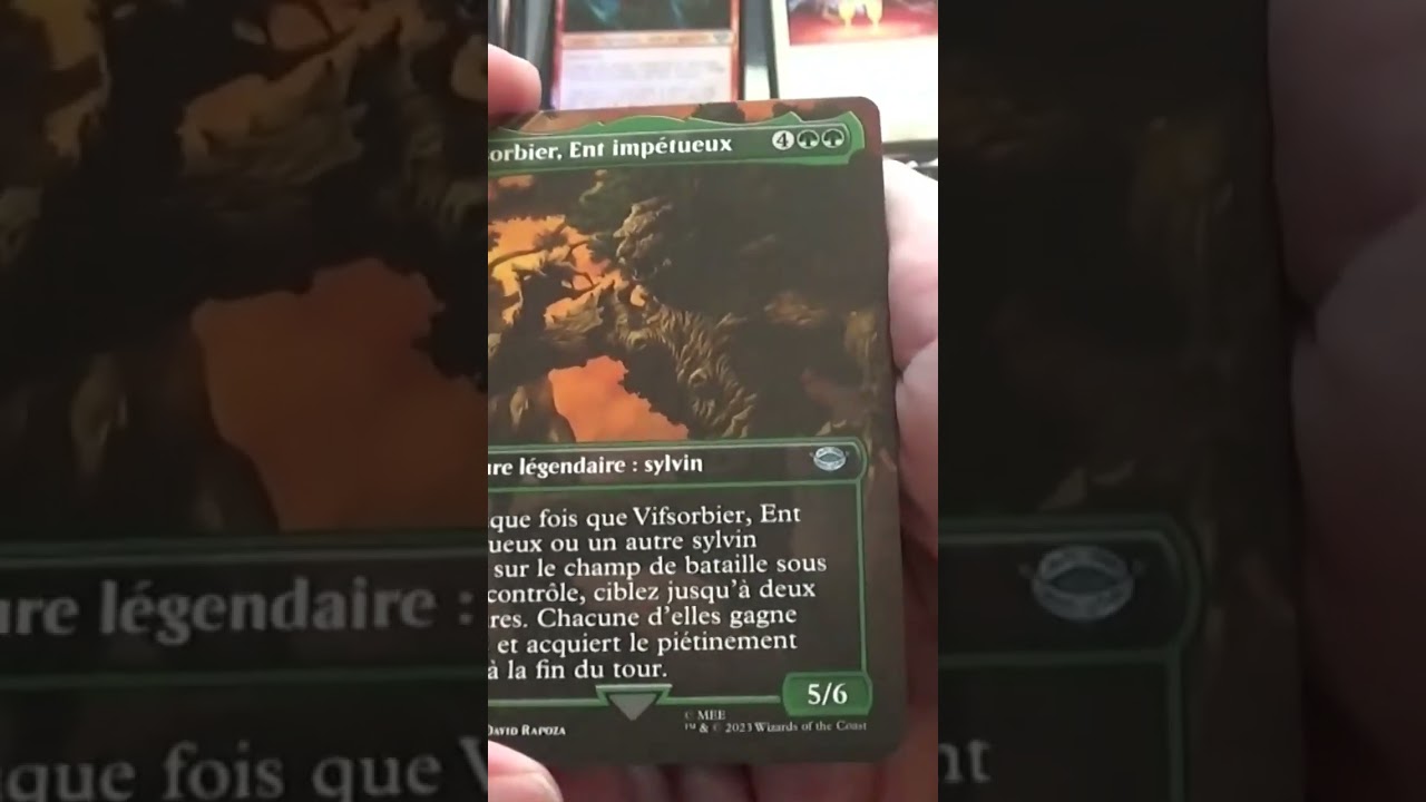 2 millions d'euros pour l'Anneau Unique de Magic The Gathering !