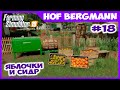 Собираю яблоки и готовлю сидр // Hof Bergmann #18 // Farming simulator 19