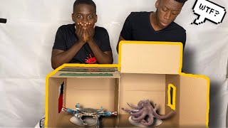 WHATS IN THE BOX CHALLENGE- *LIVE ANIMALS*