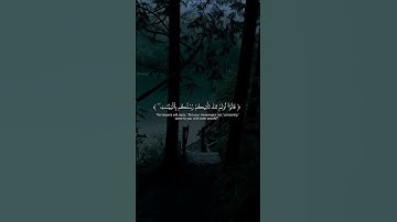 سورة غافر 50-49 Surah Ghafir @NoCreditQuranOverlay #qurancadence