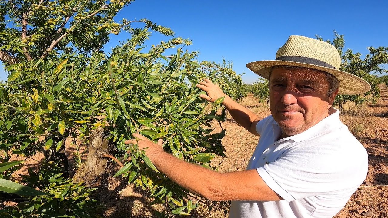 La Importancia de la Poda en Verde