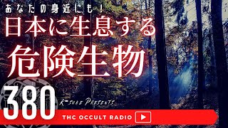 あなたの身近にも！！「日本に生息する危険生物」 THCオカルトラジオ ep.380