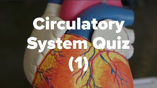 Circulatory System Quiz (1)