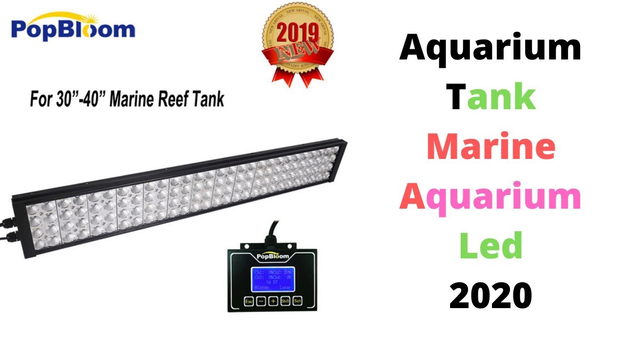 Aquarium Tank Marine Aquarium Led 2020
