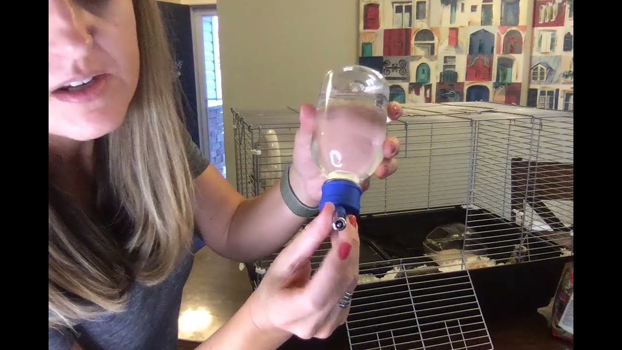 Choco Nose Patented Mini No-Drip Water Bottle (for pets & hamsters)- REVIEW- doesn't leak or drip!