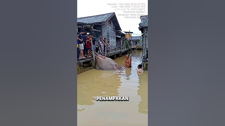 GEDE BANGET‼️IKAN PARI RAKSASA DI KALIMANTAN #shorts