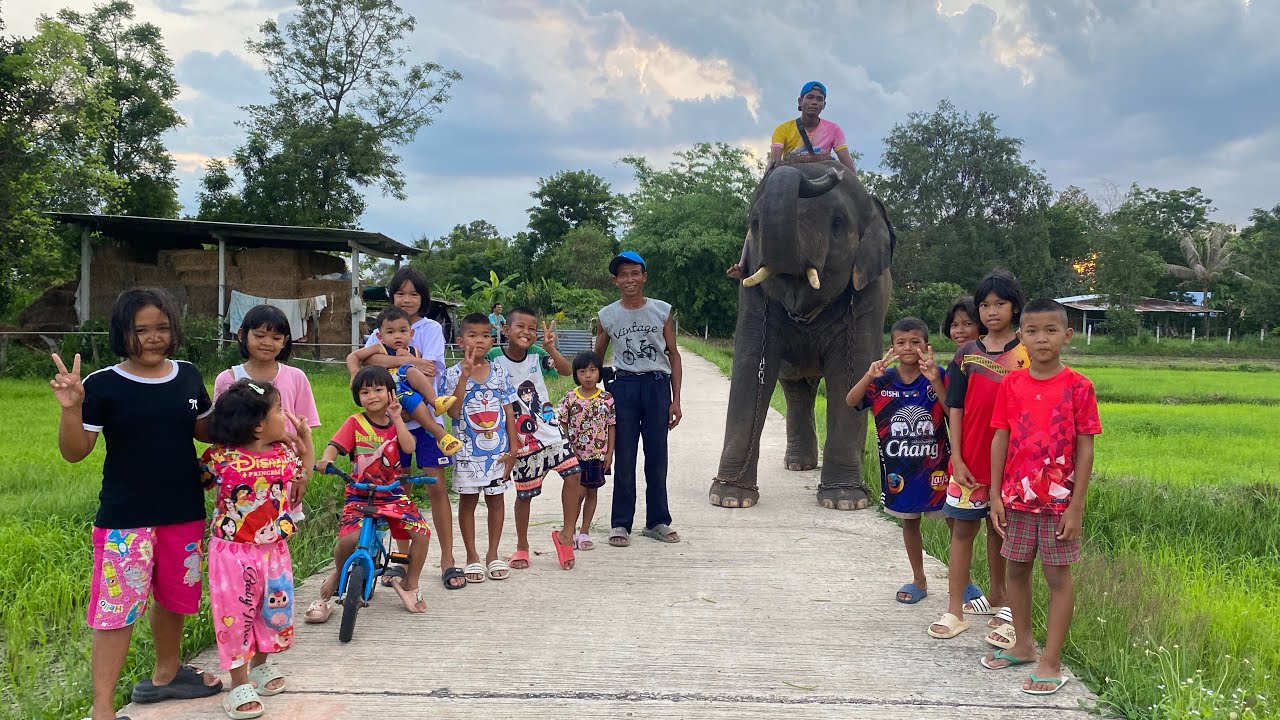 น้องดาวมาเดินเล่น🥰ได้เพื่อนใหม่❤️